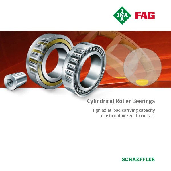 Schaeffler bearings shop