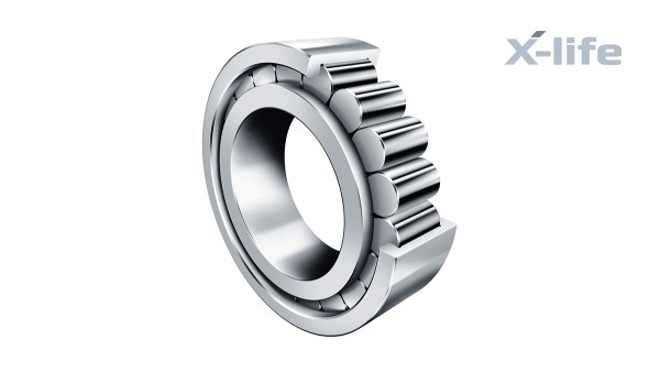 Cylindrical Roller Bearings Schaeffler Nederland