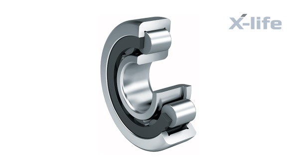 Schaeffler-wentellagers en -glijlagers: Cilinderrollagers met kooi